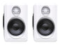 PARLANTE MICRONICS IRON WHITE MIC S314W 10 WATTS (S314W) INTERFAZ JACK 3.5 MM Y USB ENEGÍA